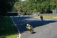 Middle 2 Group Yellow Bikes